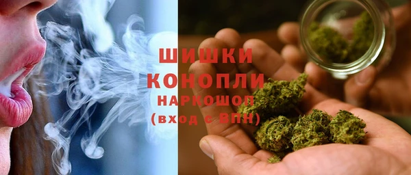 твердый Арсеньев