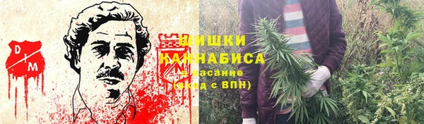 спайс Нягань