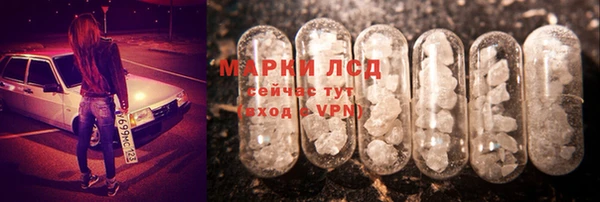 твердый Арсеньев