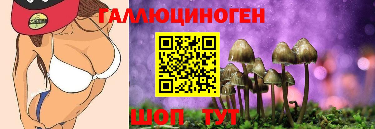 Серов  Псилоцибиновые грибы GOLDEN TEACHER  Вход с VPN 